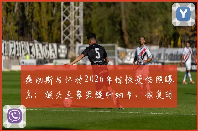 桑切斯与怀特2026年惊悚受伤照曝光:额头至鼻梁缝针细节、恢复时间及对球队影响全解析